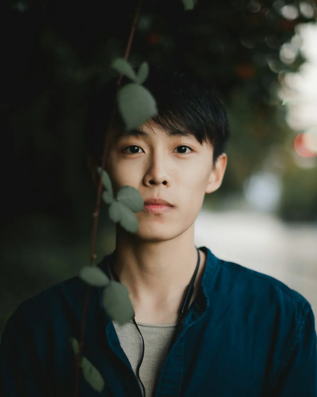 Bảo Lâm