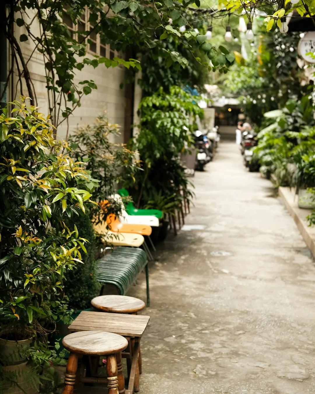 Đức Anh님의 사진 2