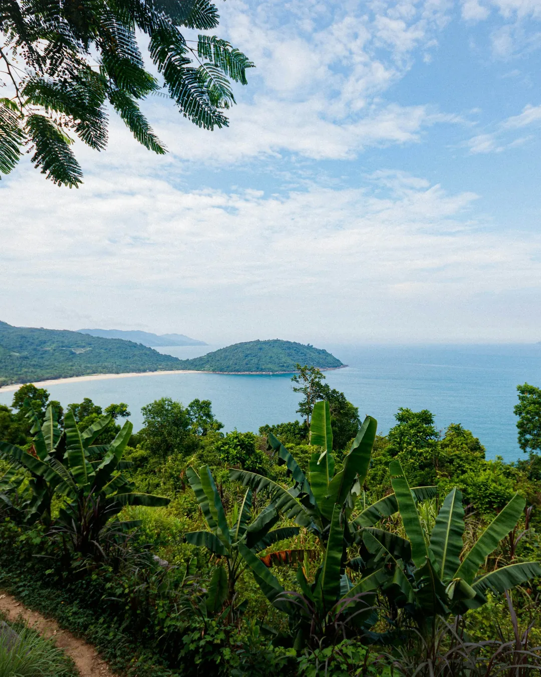 Ảnh 2 của Hoài Thương